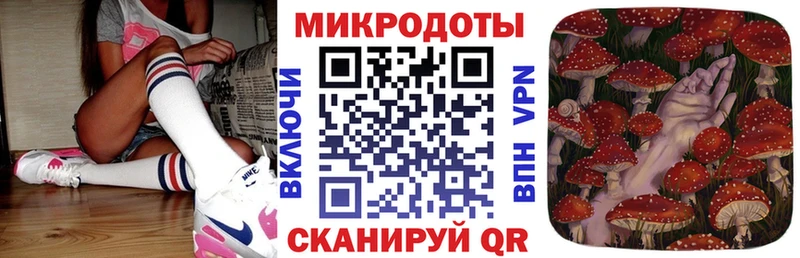 дарк нет телеграм omg Калачинск Галлюциногенные грибы прущие грибы